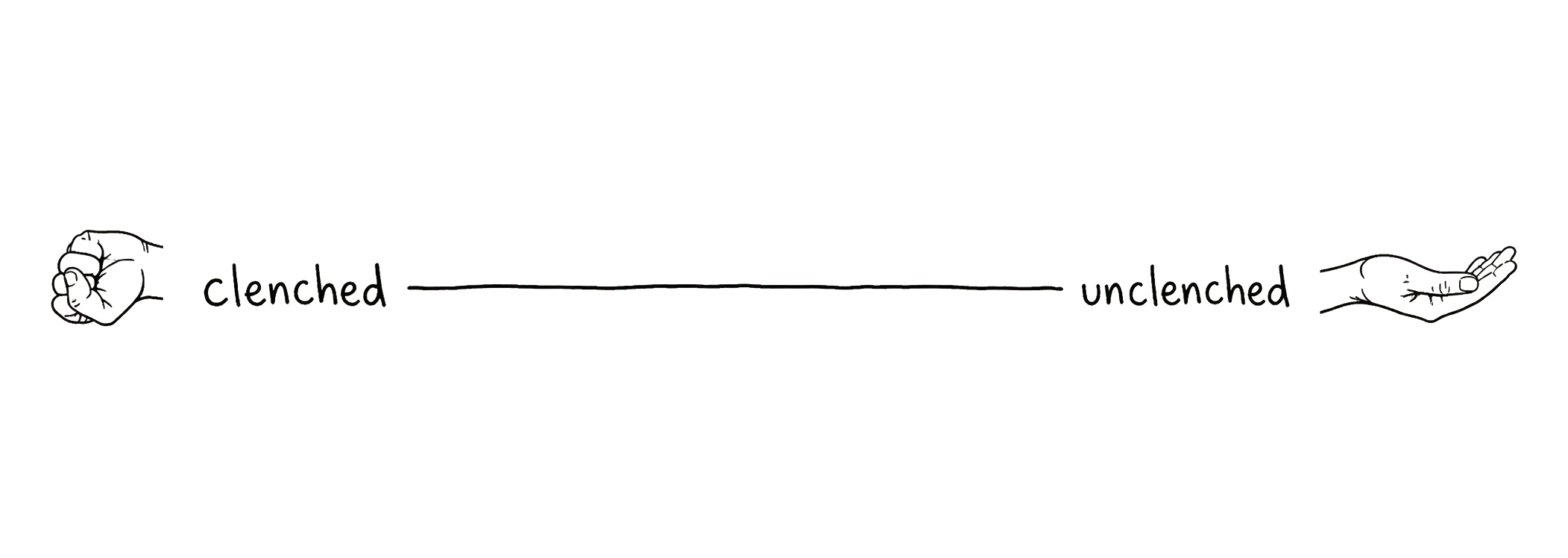 The spectrum from clenched to unclenched